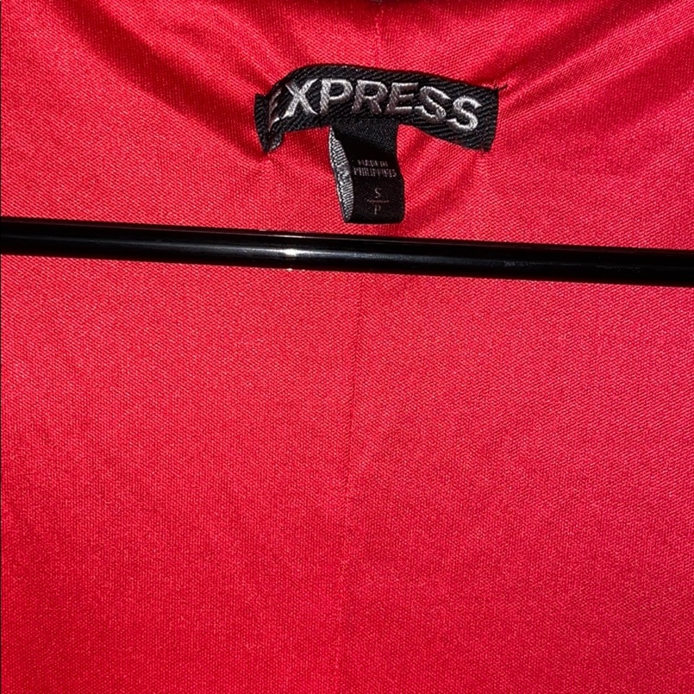 Express Dress - Picture 4 of 4